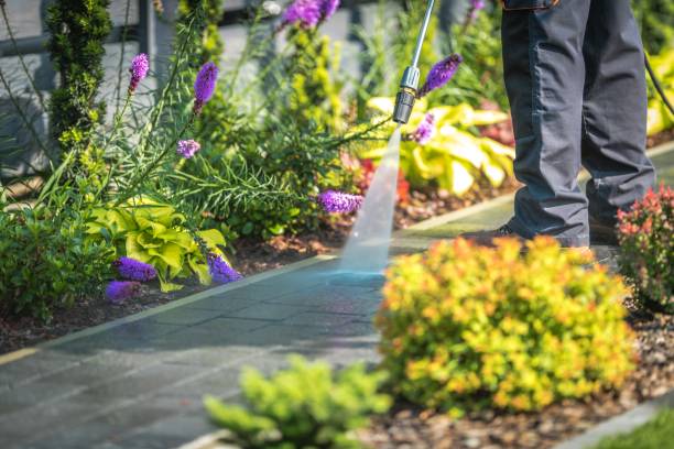 Best Spring Cleaning  in Kathleen, FL